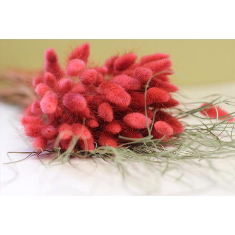 Second Nature Red Bunny Tails Table Decor