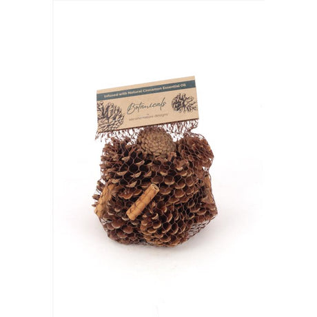Second Nature Cinnamon Scented Pinecones Table Decor