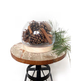 Second Nature Cinnamon Scented Pinecones Table Decor