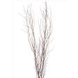 Second Nature Frosted Glitter Birch Branches