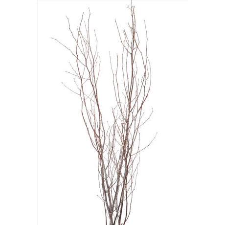 Second Nature Frosted Glitter Birch Branches