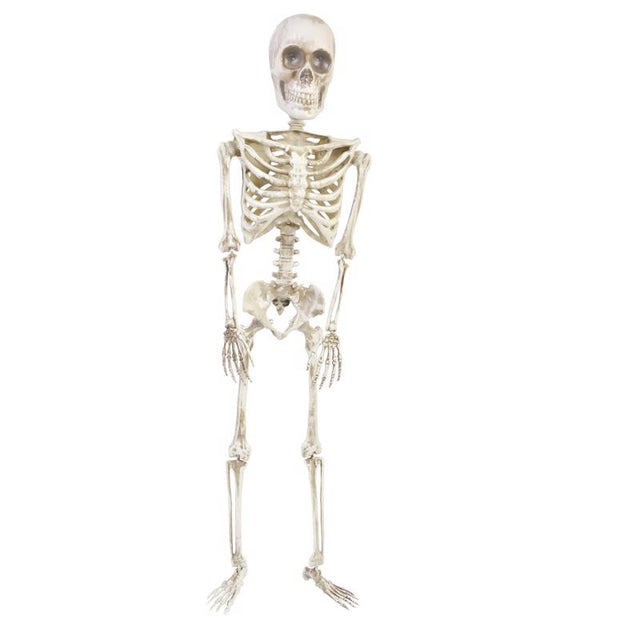 Fun World 36 in. Articulated Skeleton Halloween Decor