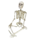 Fun World 36 in. Articulated Skeleton Halloween Decor