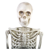 Fun World 36 in. Articulated Skeleton Halloween Decor