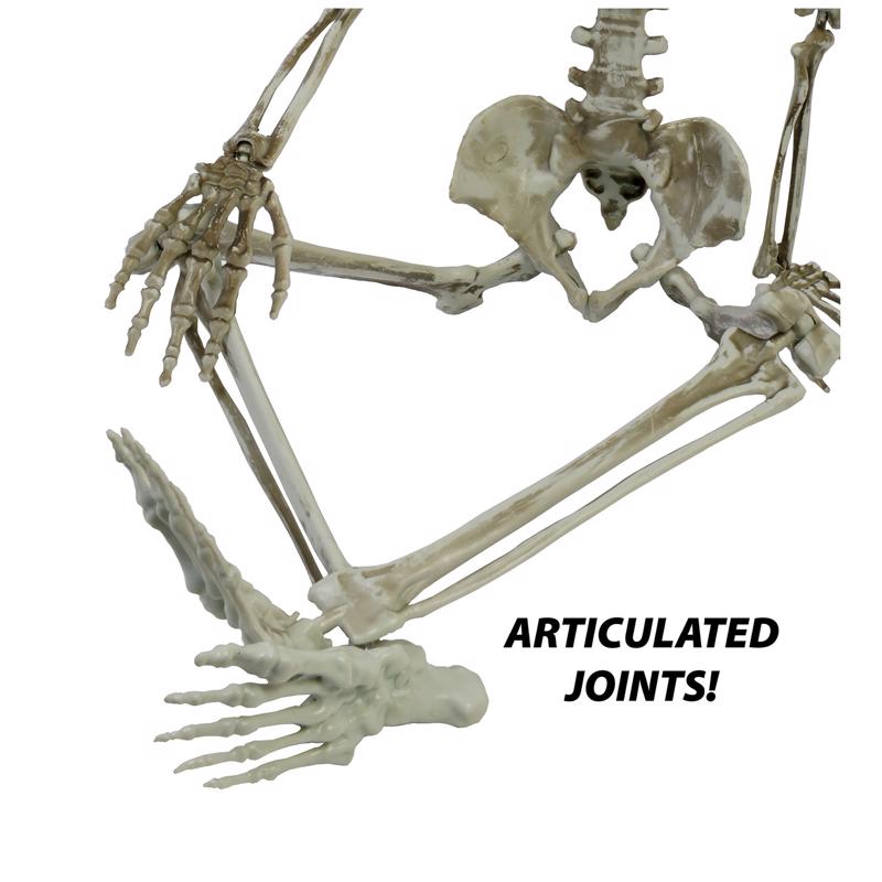 Fun World 36 in. Articulated Skeleton Halloween Decor