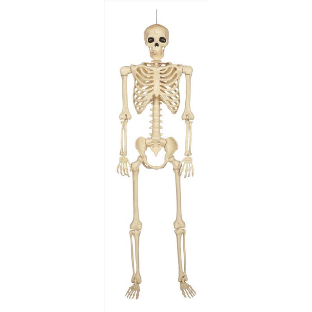 Seasons 60 in. Skeleton Halloween Decor