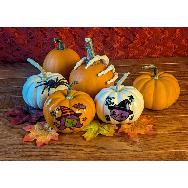 Signature Brands Halloween Pumpkin Science Kit