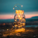 Feit LED String Lights w/Remote Control Warm White 30 ft. 100 lights
