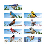 96 in. H X 192 in. W X 16 in. D Multicolor Plastic Bird Nest - 16ft Inline Bird Decor Kit Display