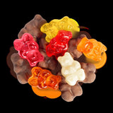 Albanese Chocolate Gummi Candy 4.5 oz