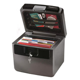 Sentry Safe 0.65 cu ft Gray Fire Protector File Chest