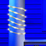 Celebrations LED Clear/Warm White 99 ct Rope Flex Tape Light 16.5 ft.