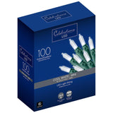 LED LGHT MINI CW 100CT