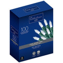 LED LGHT MINI CW 100CT