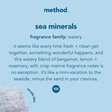 Method Sea Mineral Scent Antibacterial Gel Hand Wash 12 oz