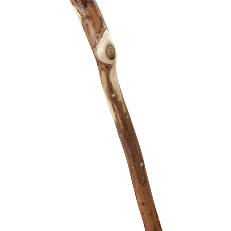 Brazos Walking Sticks 37 in. Brown Wood Cane