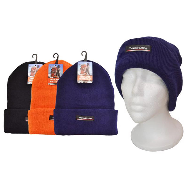 WINTER HAT INSULAT ASST
