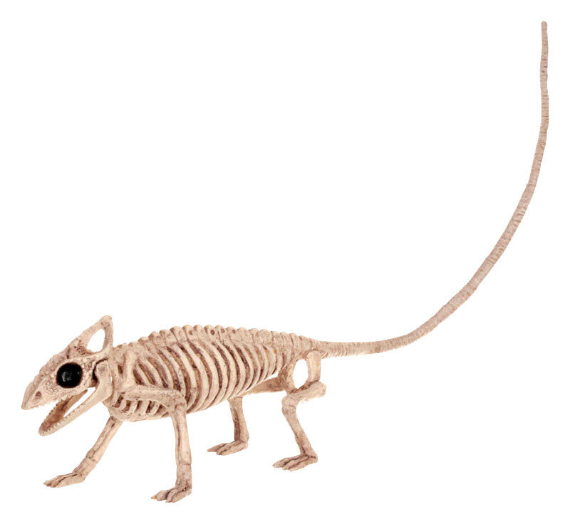 Seasons 6 in. Mini Animal Skeletons Halloween Decor