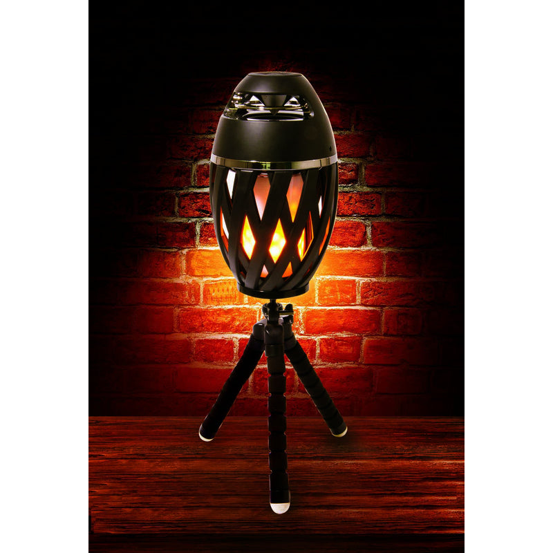 Home Plus Flame Lamp with Speaker