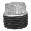 Anvil 2 in. MPT Galvanized Malleable Iron Plug
