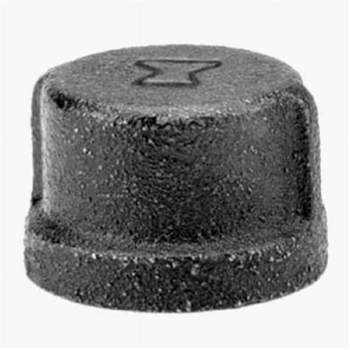 Anvil 1 in. FPT Black Malleable Iron Cap