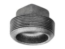Anvil 1-1/2 in. MPT Galvanized Malleable Iron Plug
