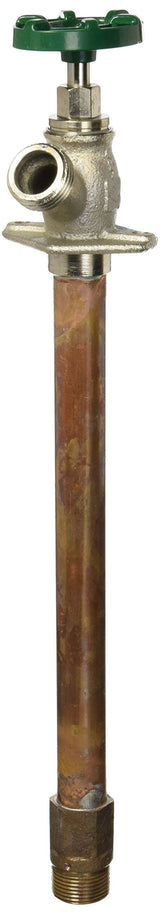 Arrowhead 3/4 in. MHT X 3/4 in. MIP Brass Wall Hydrant