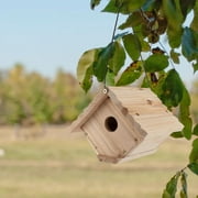 Audubon 6.25 in. H X 6.8 in. W X 7.13 in. L Red Cedar Bird House