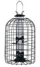 Audubon Wild Bird 1.25 lb Plastic/Wire Caged Tube Bird Feeder 4 ports