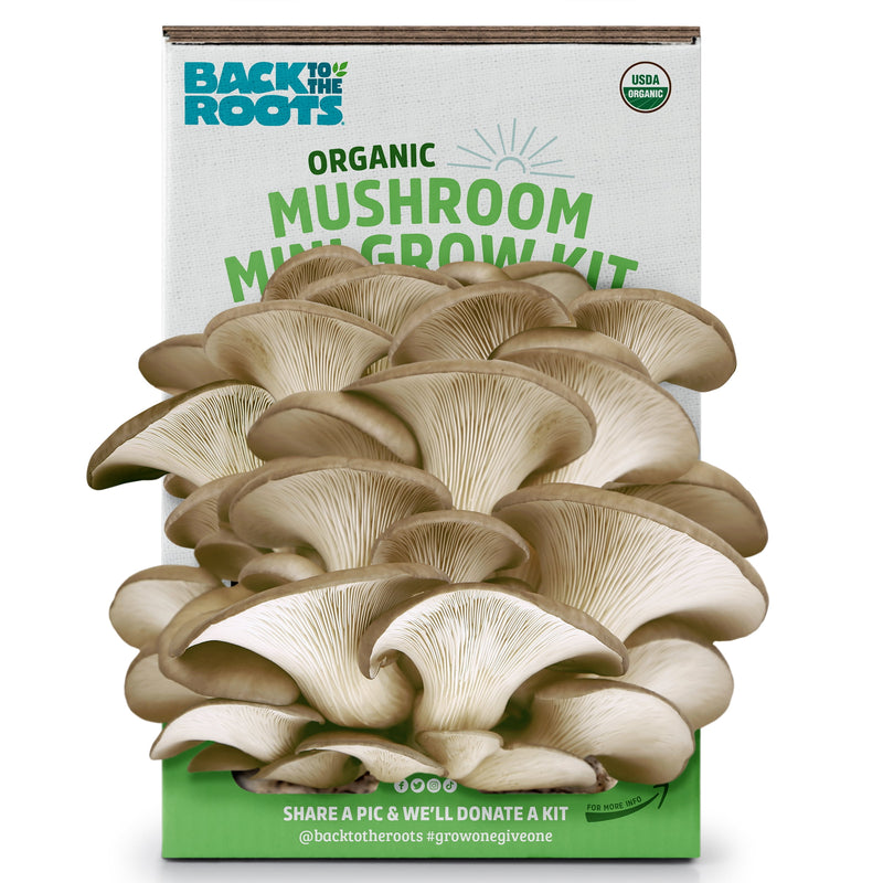 Back to the Roots Mushroom Mini Farm 1 pk