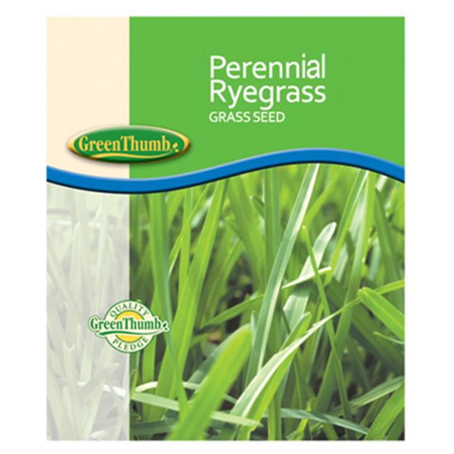 Barenbrug Perennial Ryegrass Full Sun/Light Shade Grass Seed 50 lb