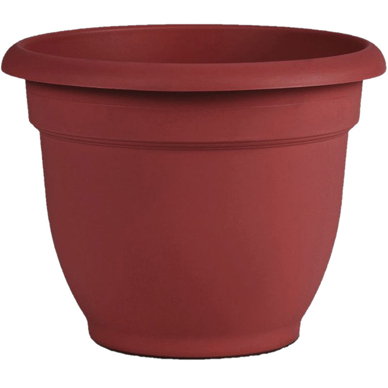 Bloem Ariana 10.1 in. H X 12 in. D Plastic Planter Burnt Red