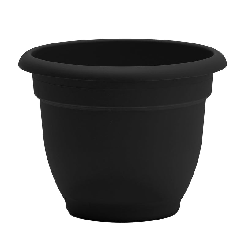 Bloem Ariana 6.7 in. H X 8 in. D Resin Elegant Planter Black