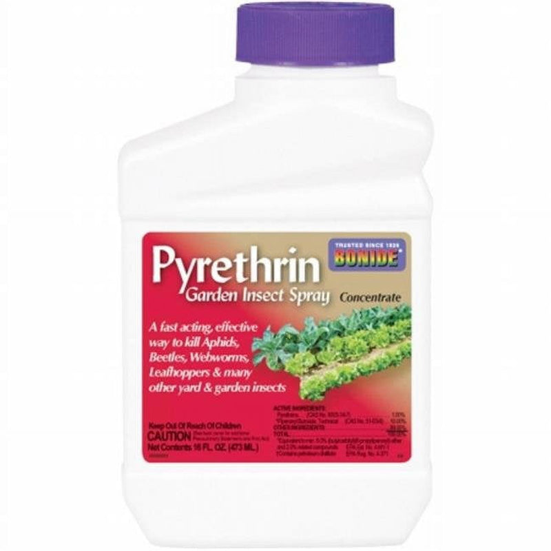 Bonide Pyrethrin Spray Organic Insect Killer Liquid Concentrate 16 oz