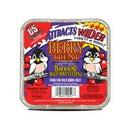 C&S Products Berry Treat Assorted Species Beef Suet Wild Bird Food 11.75 oz