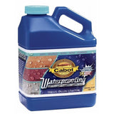 Cabot Crystal Clear Waterproofing Crystal Clear Silicone Waterproofing Sealer 1 gal