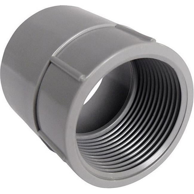 Cantex 1-1/4 in. D PVC Female Adapter For PVC 1 each