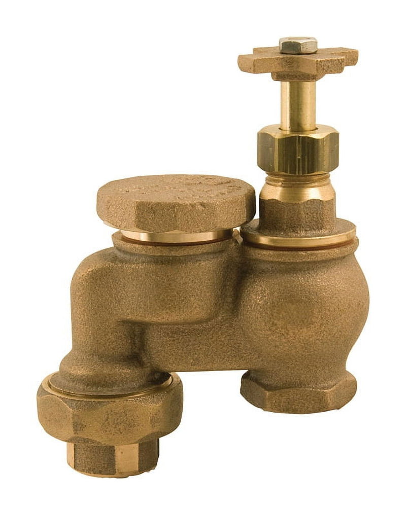 Champion Anti-Siphon Valve 3/4 in. 150 psi