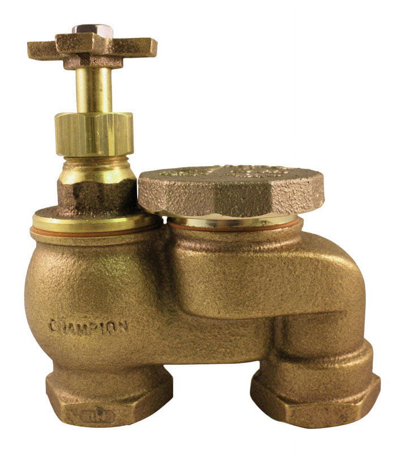 Champion Anti-Siphon Valve 3/4 in. 150 psi