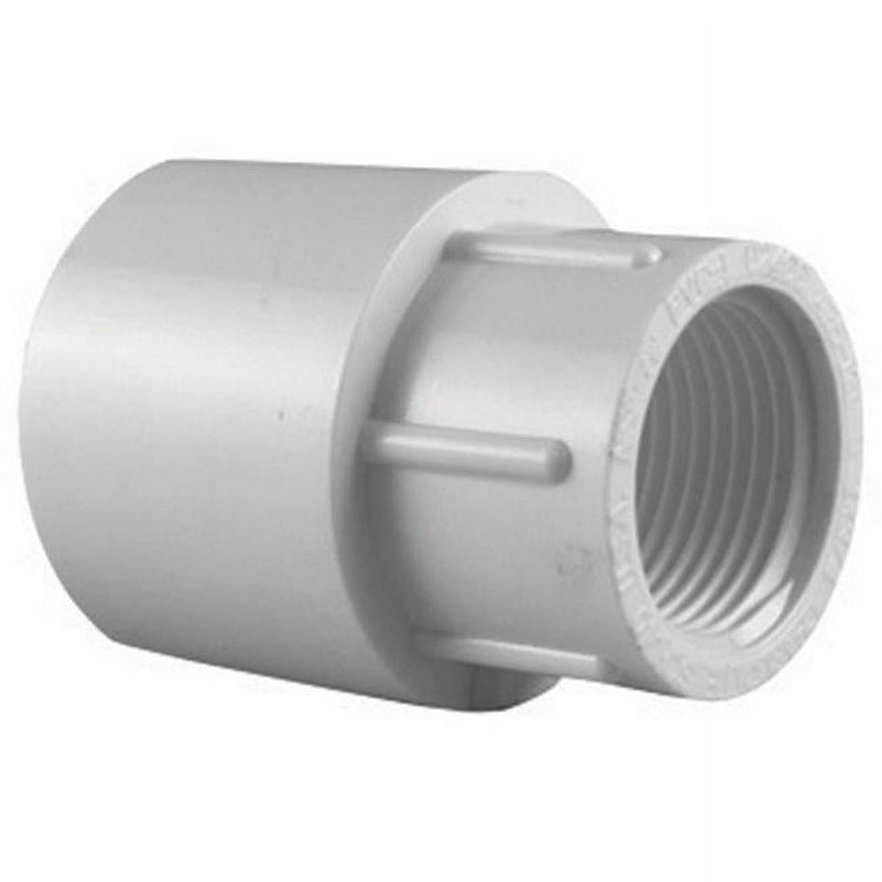 Charlotte Pipe Schedule 40 3/4 in. Slip X 1 in. D FPT PVC Pipe Adapter 1 pk
