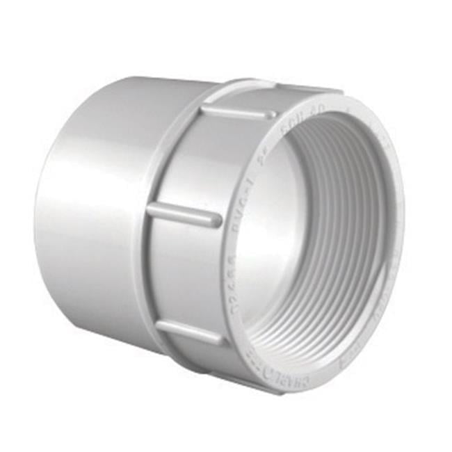 Charlotte Pipe Schedule 40 3/4 in. Slip X 3/4 in. D FPT PVC Pipe Adapter 1 pk