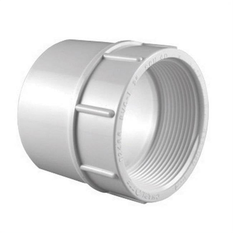 Charlotte Pipe Schedule 40 2 in. Slip X 2 in. D FPT PVC Pipe Adapter 1 pk