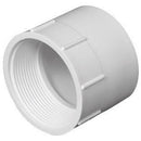 Charlotte Pipe Schedule 40 4 in. Hub X 4 in. D FPT PVC Pipe Adapter 1 pk
