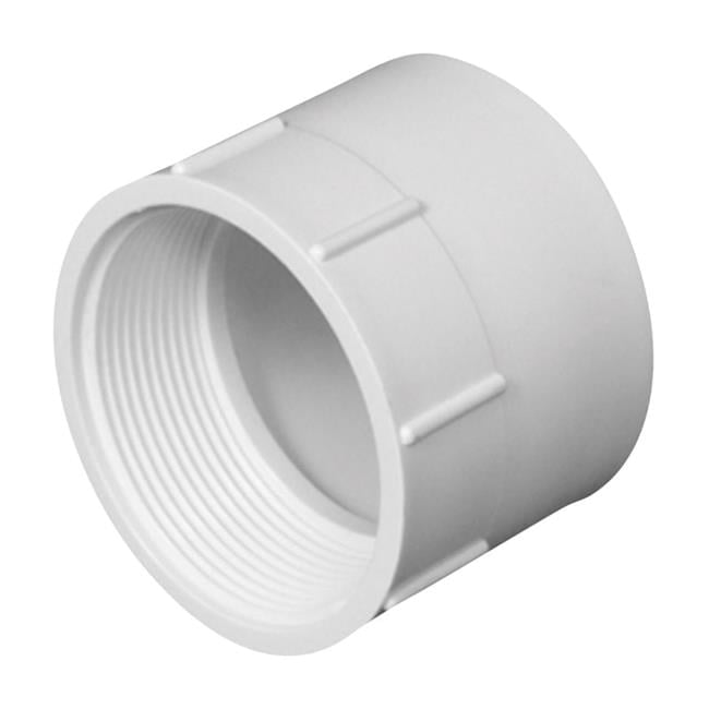 Charlotte Pipe Schedule 40 4 in. Hub X 4 in. D FPT PVC Adapter 10 pk