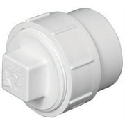 Charlotte Pipe Schedule 40 4 in. Spigot FPT PVC Cleanout Adapter 1 pk