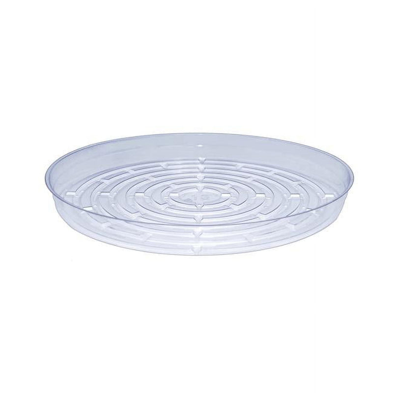 Curtis Wagner Plastics Everspring 3.25 in. H X 13 in. D Vinyl Plant Saucer Clear