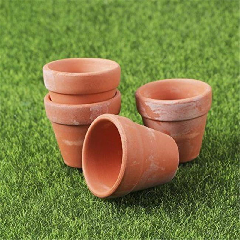 Deroma 1.45 in. H X 1.6 in. W Clay Standard Planter Feet Terracotta