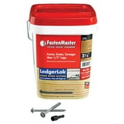 FastenMaster LedgerLok 3-5/8 in. L Hex Hex Washer Head Deck Screws 250 pk