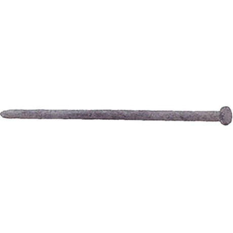 Grip-Rite 10 in. Spike Hot-Dipped Galvanized Steel Nail Flat Head 5 lb