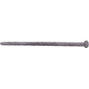 Grip-Rite 10 in. Spike Hot-Dipped Galvanized Steel Nail Flat Head 5 lb